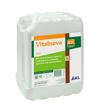 Vitalnova Blade