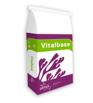 Marathon Vitalbase