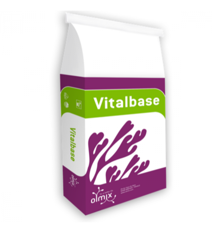 Marathon Vitalbase Marathon Vitalbase