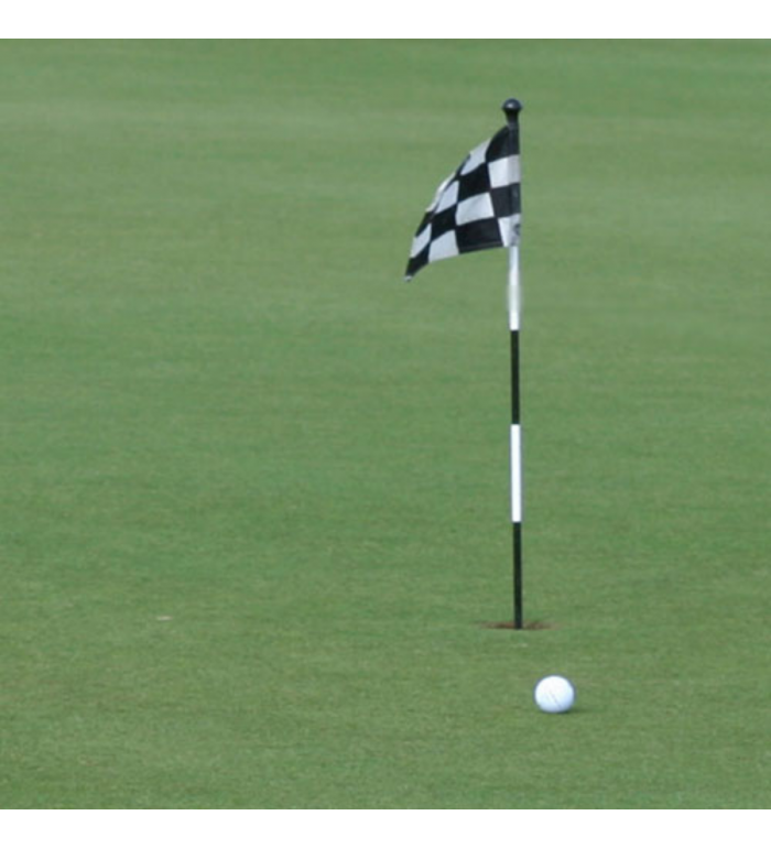 Flaggstång "Jr" SG - Vit