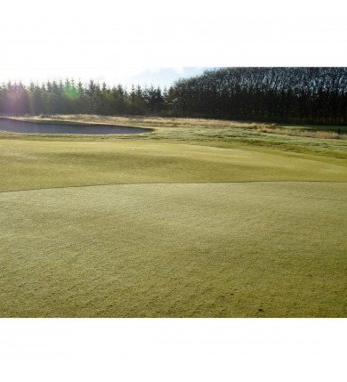 Dagglina till fairway 60 m 2