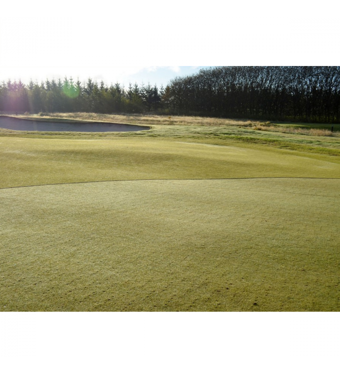 Dagglina till green 40 m