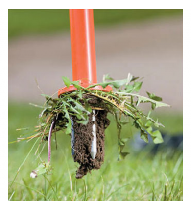 Accuform Weed Puller 2