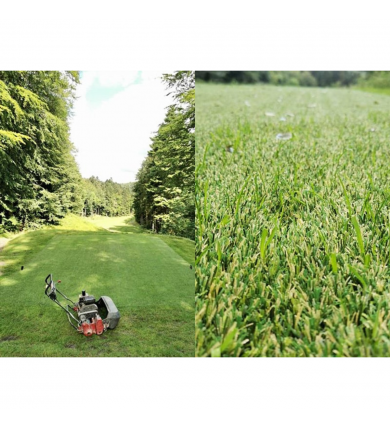 Hybridgräs Lawn 22 2