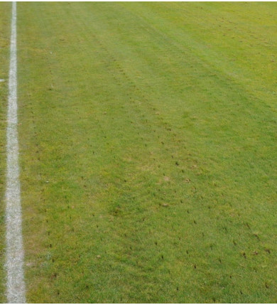 Suno XL Stickluftare 2