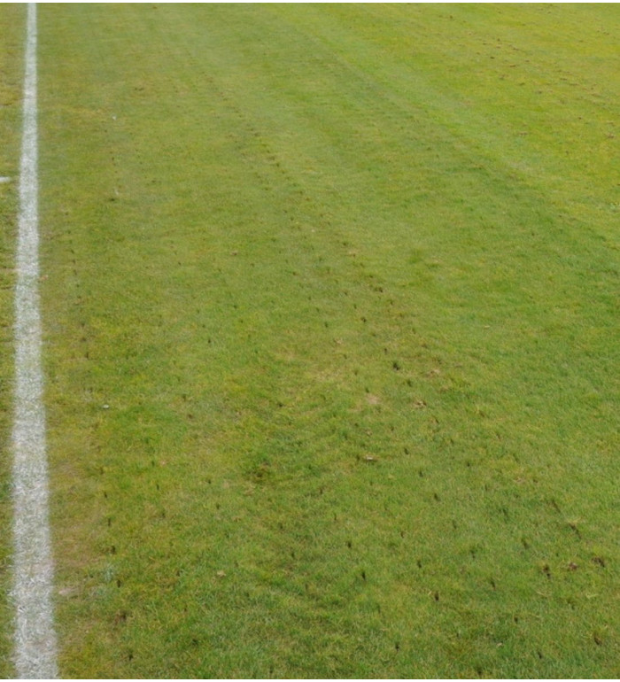 Suno XL Stickluftare