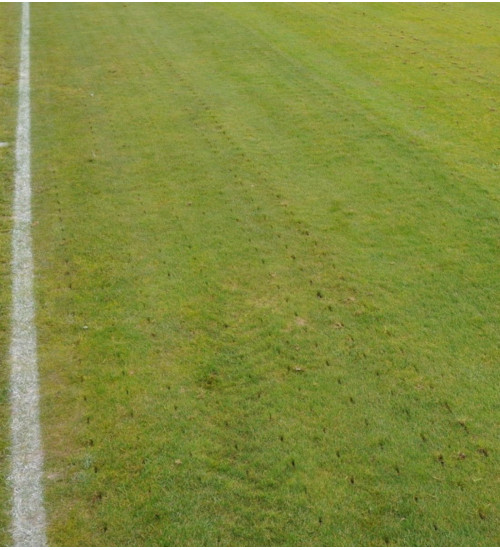 Suno XL Stickluftare