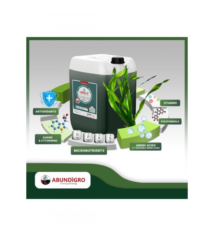 Abundigro Ukelp 20l