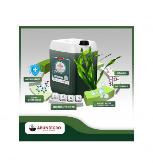 Abundigro Ukelp 20l