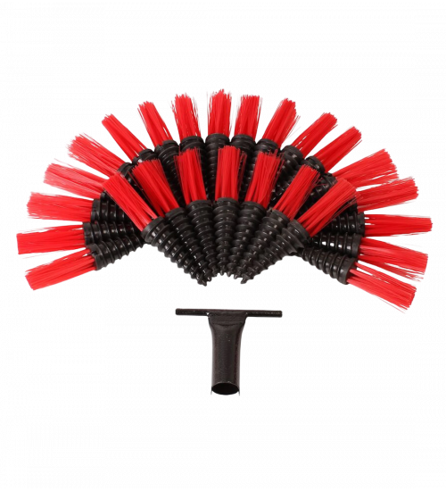 Morötter 25-pack Röd