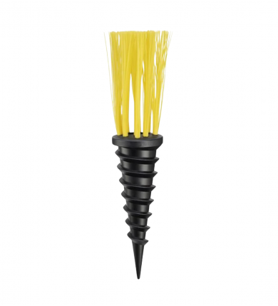 Morötter 25-pack Gul 2