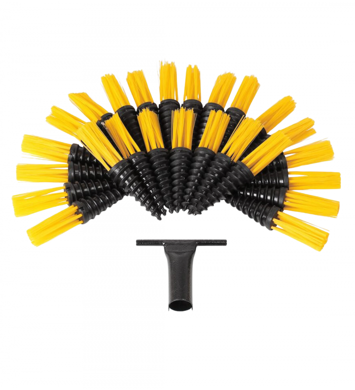 Morötter 25-pack Gul