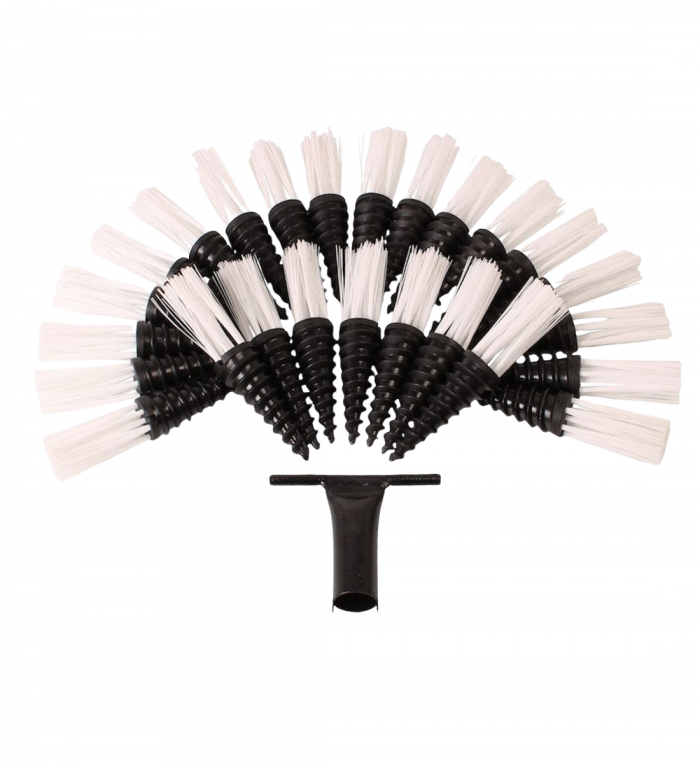 Morötter 25-pack Vit