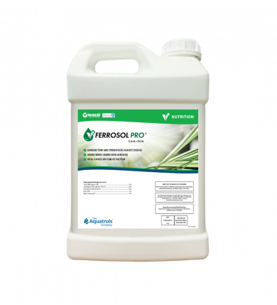 Ferrosol Pro 10 liter dunk