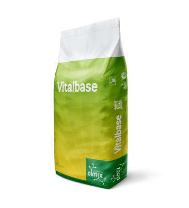 Vitalbase 2