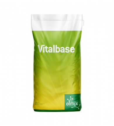 Vitalbase