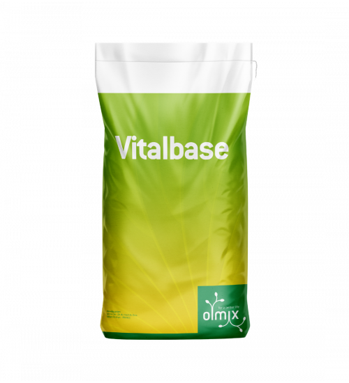 Vitalbase