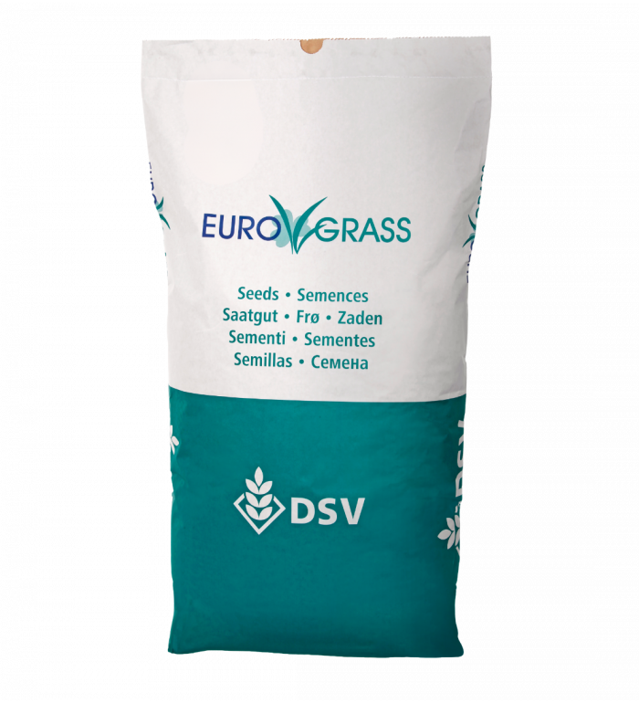 Rödsvingel Turf